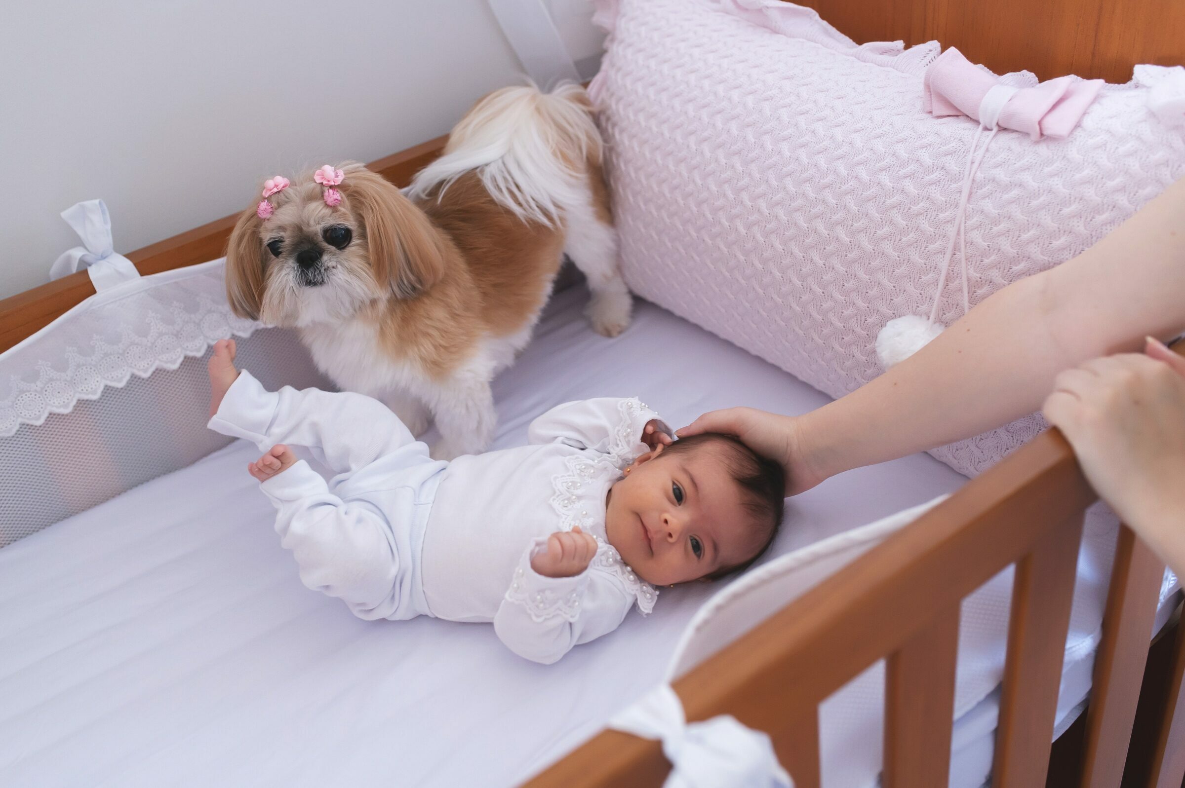 Foto de Fabiana Lupinetti 26