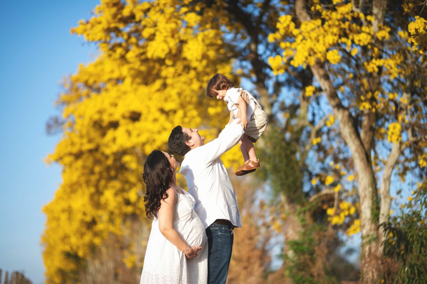 A doce espera por José